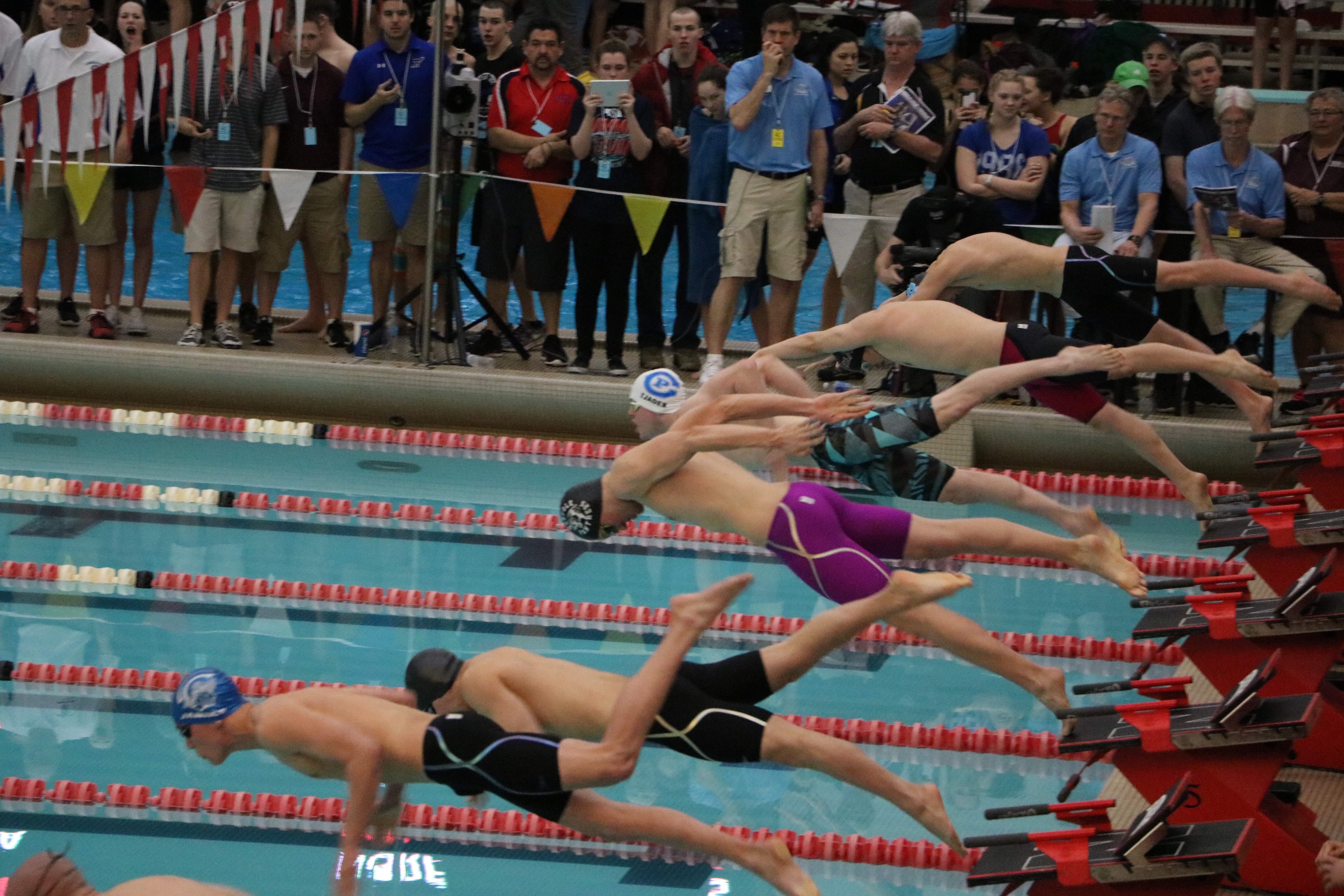 State Swimming